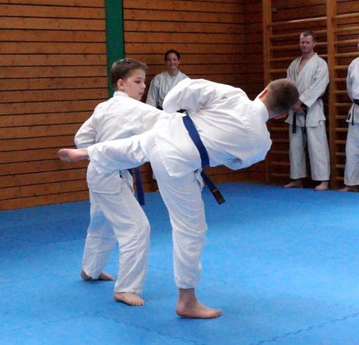 DSC03583 (Large).JPG